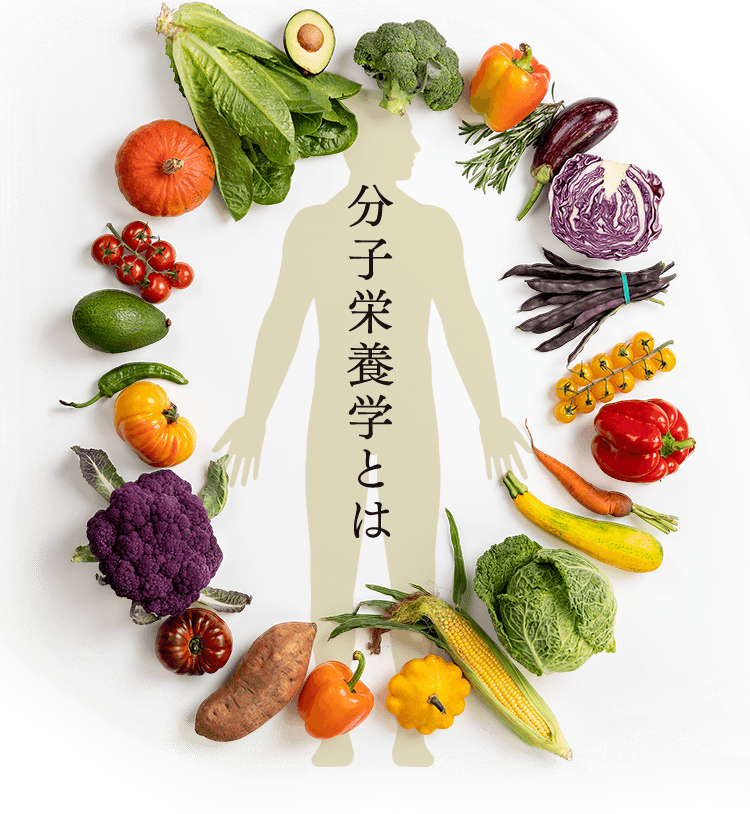 分子栄養学アドバイザーと管理栄養士という栄養のプロのタッグにより、体質タイプ別に本当にその人の身体に必要なものは何なのかを考え